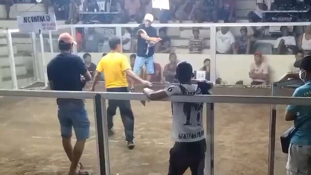 Ravena gamefarm hennie