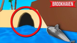I TESTED SECRETS of the NEW BROOKHAVEN UPDATE!
