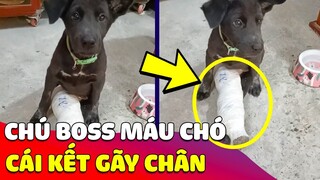 Cận cảnh thanh niên thích 'CHÁY PHỐ' và cái kết 'GÃY CHÂN' khiến con sen bất lực | Gâu Đần