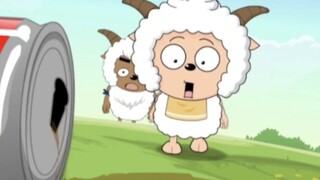 Early cute lazy sheep