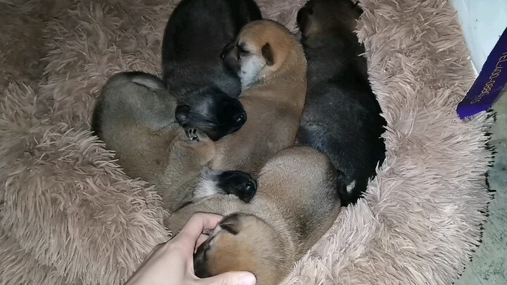 อากาศหนาวมาแล้วก็ไม่กลัว