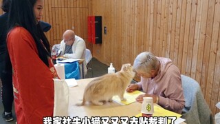 社牛小猫又去贴贴裁判，这真不是我教的！