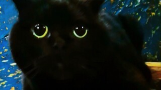 请帮千岁岁一个小忙！谢谢！