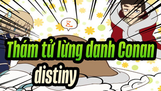 Thám tử lừng danh Conan|[Tự họa] Quý ngài anh hùng-distiny