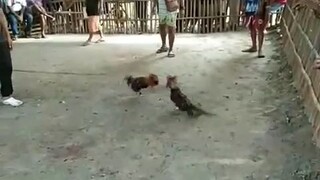 win nananman tayo