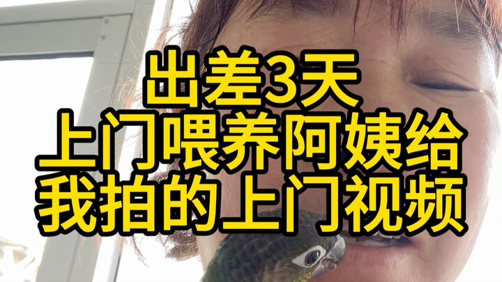 I’m on a business trip in Shanghai and got a video from the at-home pet-sitting lady—after editing i