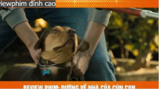 cô chó vượt 600km p3 #reviewphimdinhcao