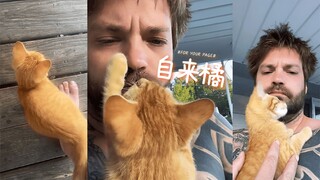 人在家中坐，橘从家门来 🐈