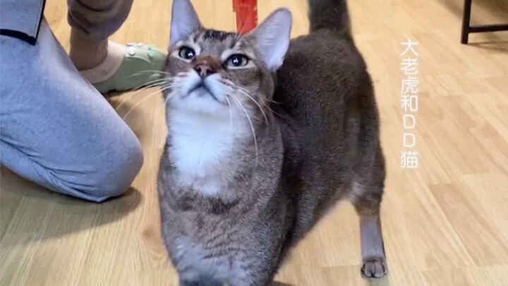 سجل تدريبي مع DD