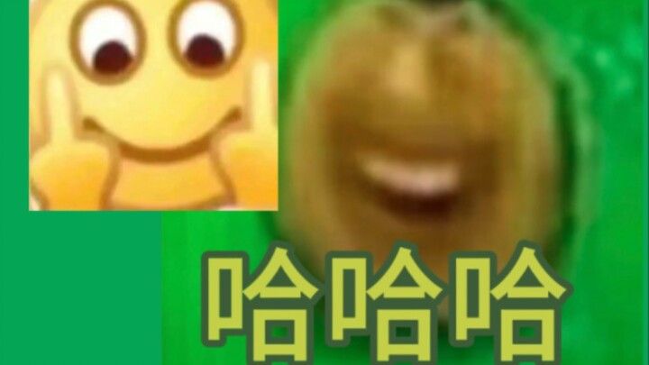 【SEVENTEEN】That Annoying Adhesive Plaster