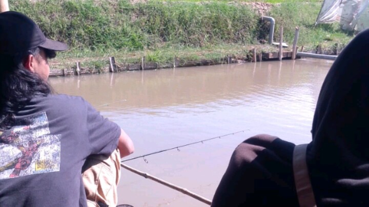 perlombaan mancing bawal