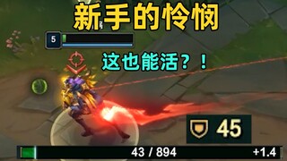 新手的怜悯：最高获得80%减伤！仅菜鸟玩家可用！