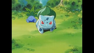 Pokemon Season 1 - Tập 010: Fushigidane của ngôi làng bí ẩn
