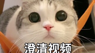 Làm rõ