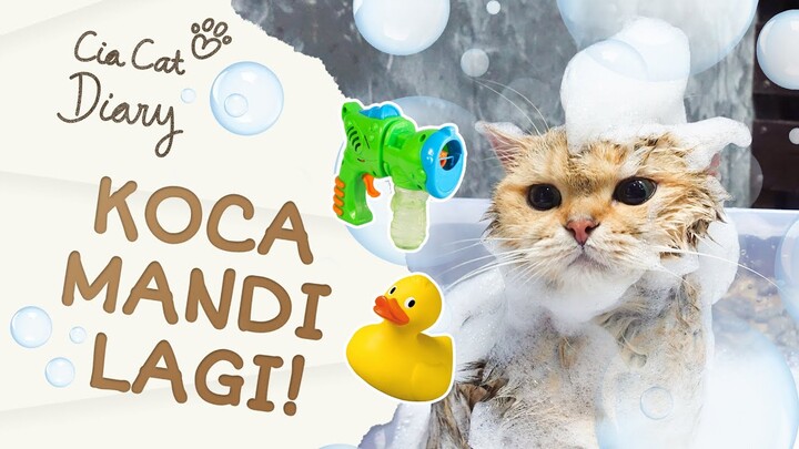 Kucing Mandi Spa Banyak Bubble Bubble! GEMES BANGET!!!  -Cia Cat Diary