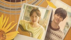 midnight sun (2025)