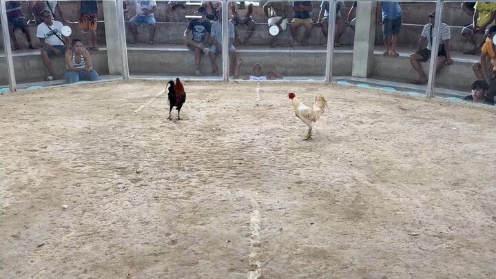 Talo 2X Winner 🐓🫡 Ty sa 2panalo binigay mo