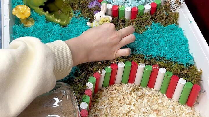 The little hamster actually tried to jump up and bite me!