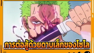 [วันพีซ] รอมา 20 ปี! โซโลเริ่มต่อสู้ด้วยดาบเล็ก!