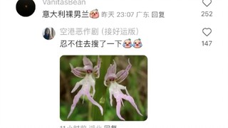 What quirky yet genuinely existing creature names have you heard of?