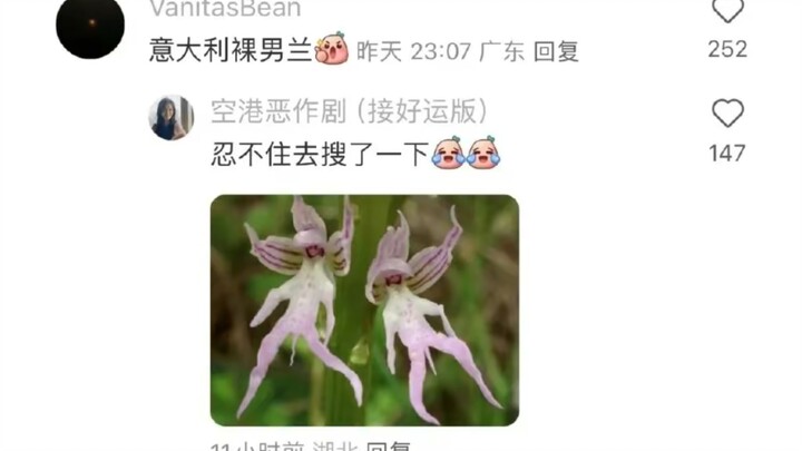 ما هي الأسماء التي سمعتَ بها للكائنات الحية التي تبدو عشوائيةً لكنها حقيقيةٌ بالفعل؟