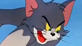 Burung bisa memecahkan masalah matematika #Kucing dan Tikus