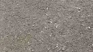 first exam of my stag