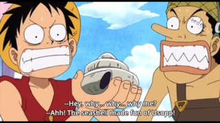 Just luffy being luffy😭