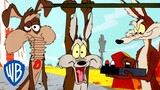 Looney Tuesdays | Ralph VS Wile E. Coyote | Looney Tunes |  @wbkids