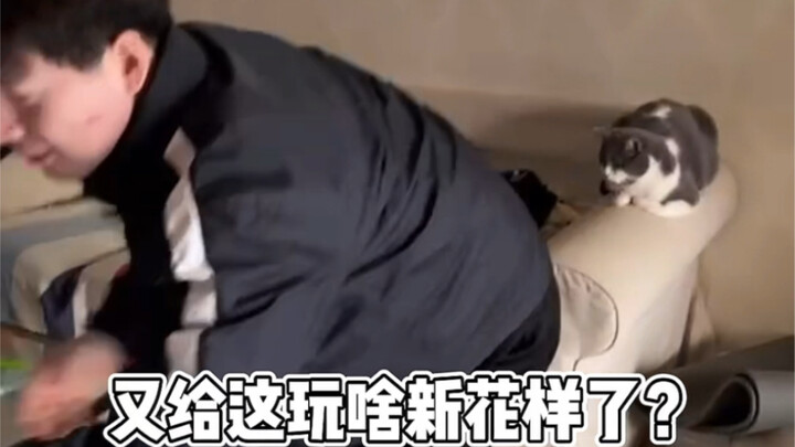 天下武功 唯快不破！