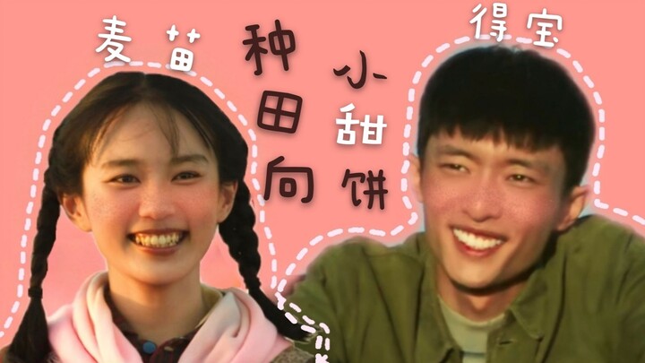 【山海情】得宝&麦苗|油饼cp||这是什么绝世种田向小甜饼