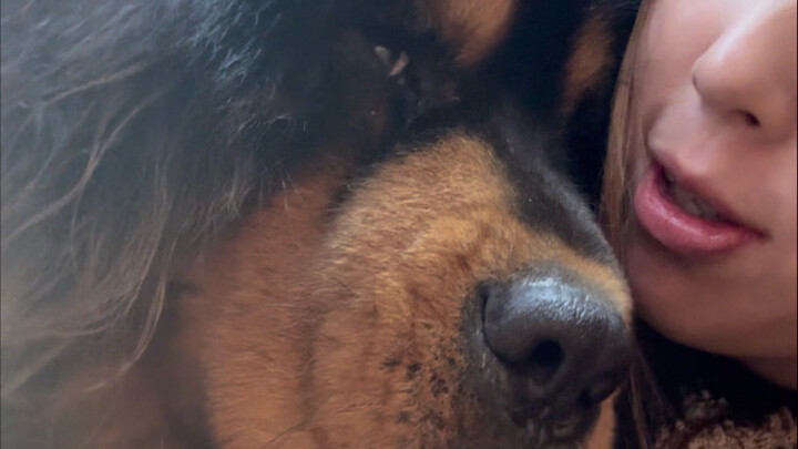 Đa Cát còn ngơ ngác luôn.