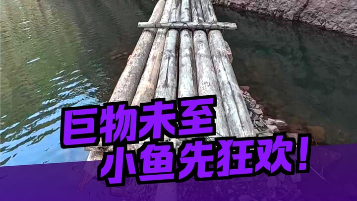 Tak perlu terburu-buru, rawat sarang beberapa hari, baru gunakan saat dibutuhkan!
