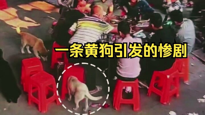 If there were no surveillance cameras, this could be featured in a 3-episode series on "Into Science