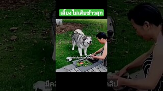 เลี้ยงไม่เสียข้าวสุก