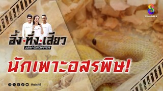 นักเพาะอสรพิษ! | อึ้ง ทึ่ง เสียว