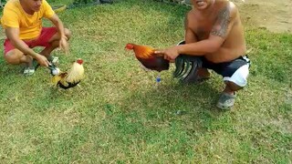 bitaw uli ni liit