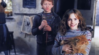 【HP/罗赫】遇见你，我身中魔咒 | 官配最甜 | Hermione&Ron