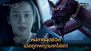 หนีตายสุดชีวิต เมื่อถูกพญานาคไล่ล่า! | Highlight พนมนาคา (รีรัน) Ep.09 | one31 | 2 ก.ค. 67