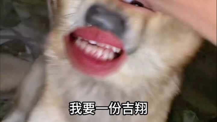 زيارة المرحاض