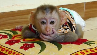 Baby Sleeping so Sad!! Million Sadness Tiny baby Maki When Wake up Not see Mom Near Him