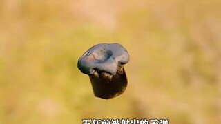 你可能不会相信，五年前被射出的子弹，竟在五年后又成功击中了目标