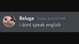 I don't speak English