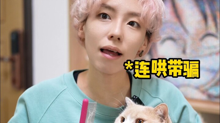 养猫人为了养猫说过哪些慌话？