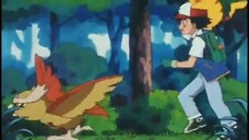 pokemon tập 156