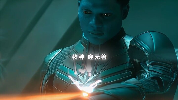 Do you also want to adopt a "cooing cat"?