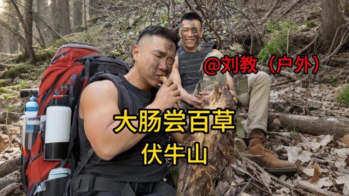 Following Teacher Liu into the mountains to sample hundreds of herbs, we ended up eating all the wil