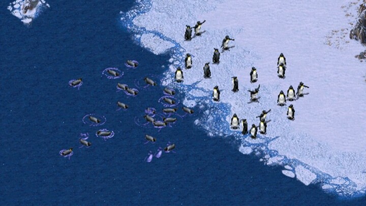 🐧 นกเพนกวิน 🐧