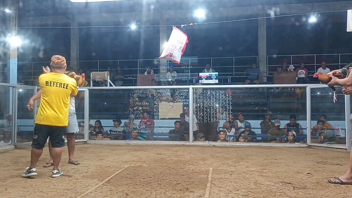 my bulik win vs pula