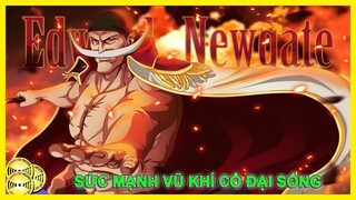 Râu Trắng Bố Già Hùng Mạnh Nhất của One Piece | Hồ Sơ Nhân Vật